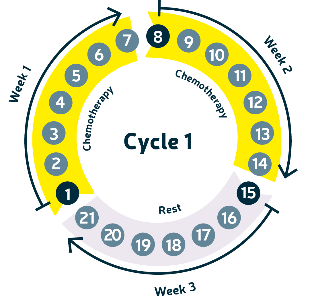 Chemo cycle 1.png